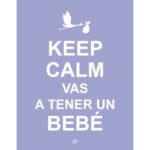 Keep calm vas a tener un bebé (VV.AA)